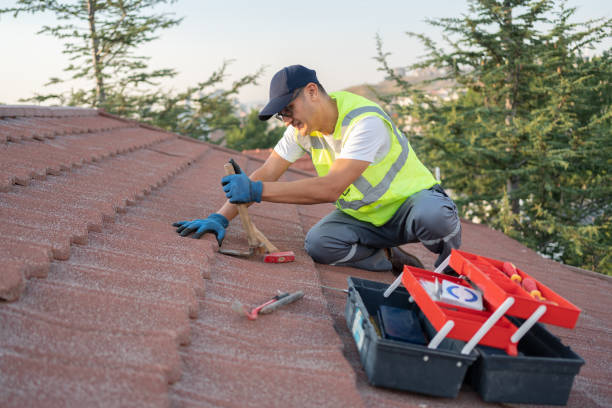 Best Commercial Roofing Services  in Bald Kno, AR